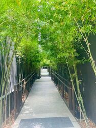 The Commodore (D27), Condominium #503920981